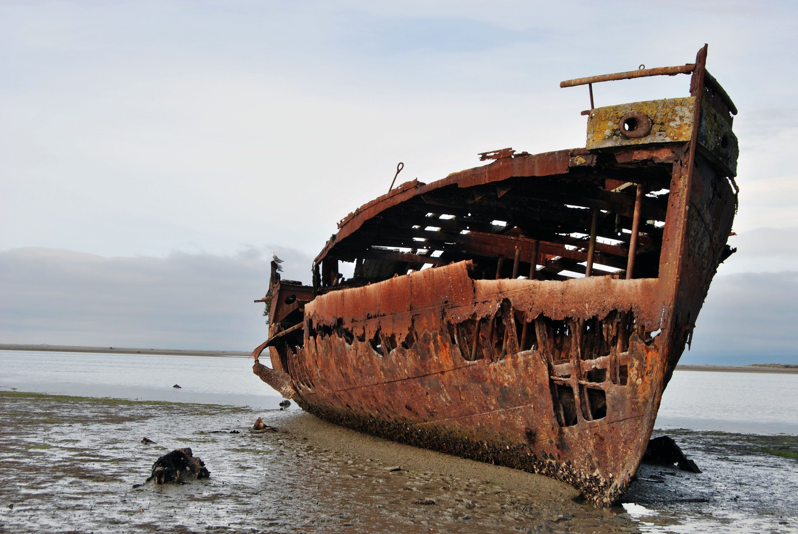 Ex-Cyclone Alfredによって明らかにされた100年以上前の2つの難易度