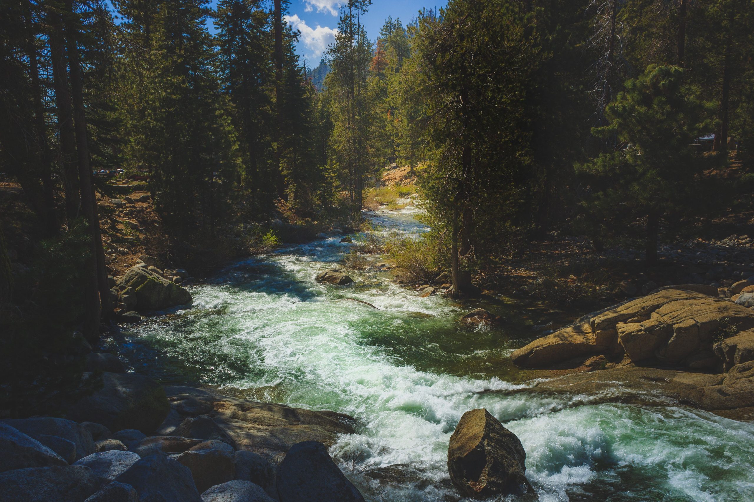 姉妹を救おうとするカリフォルニア国立公園川で掃引された女性