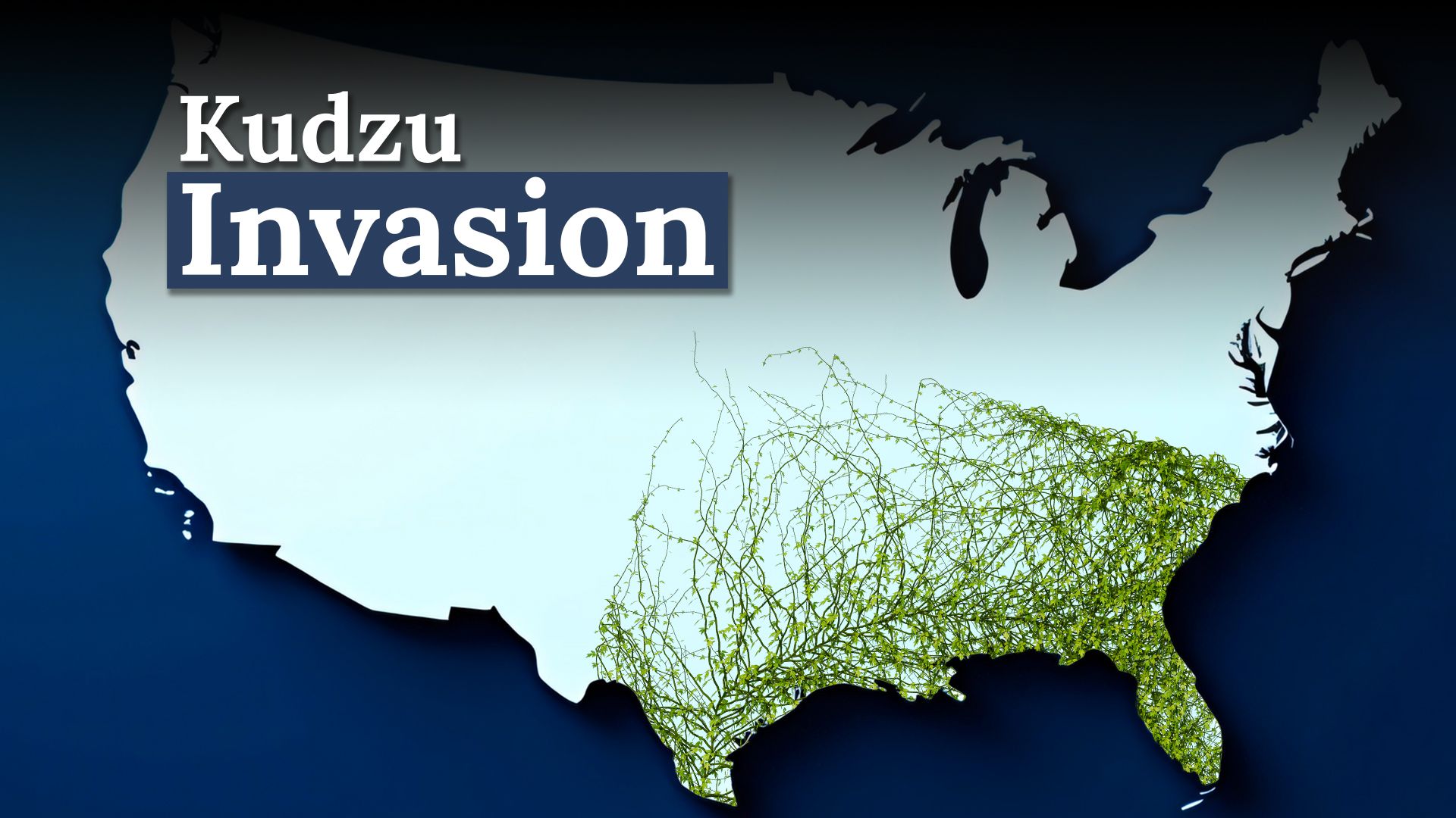 「南を食べたブドウ」は、今日の米国ではまだ侵略的な脅威です
