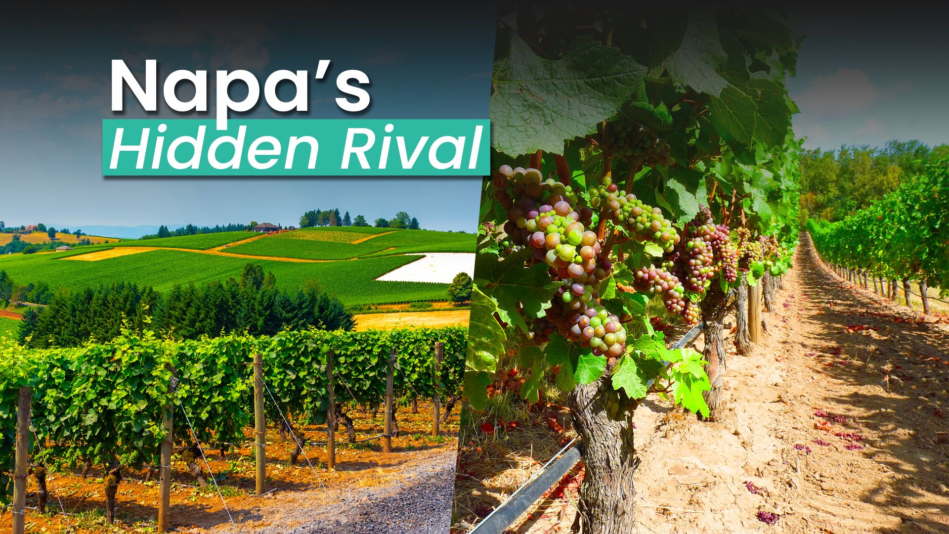 この米国には、カリフォルニアのライバルに匹敵する2つの「ナパバレー」があります