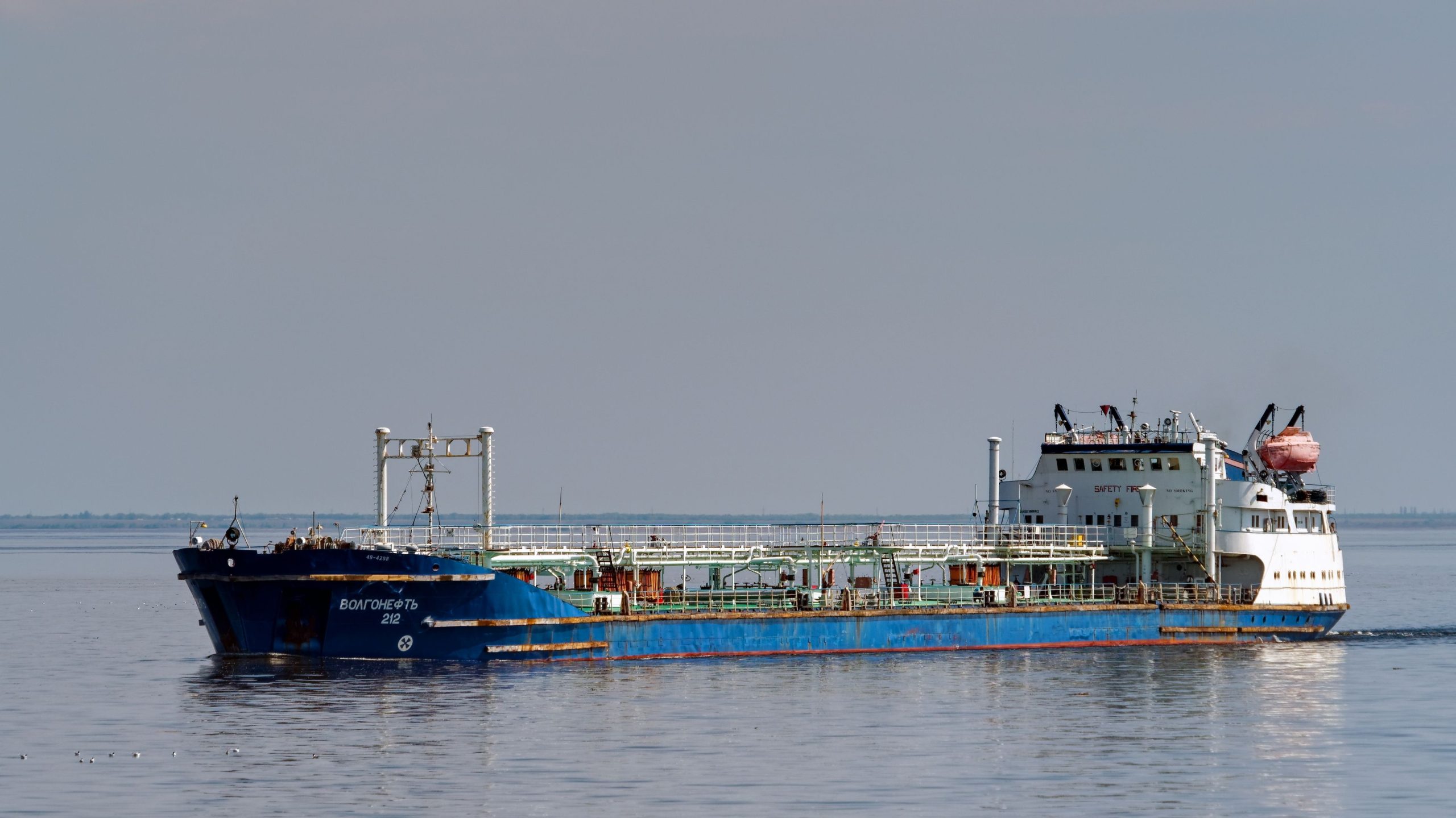 北海のプラスチックペレットをきれいにする努力が進行中で、野生生物を救うために進行中です