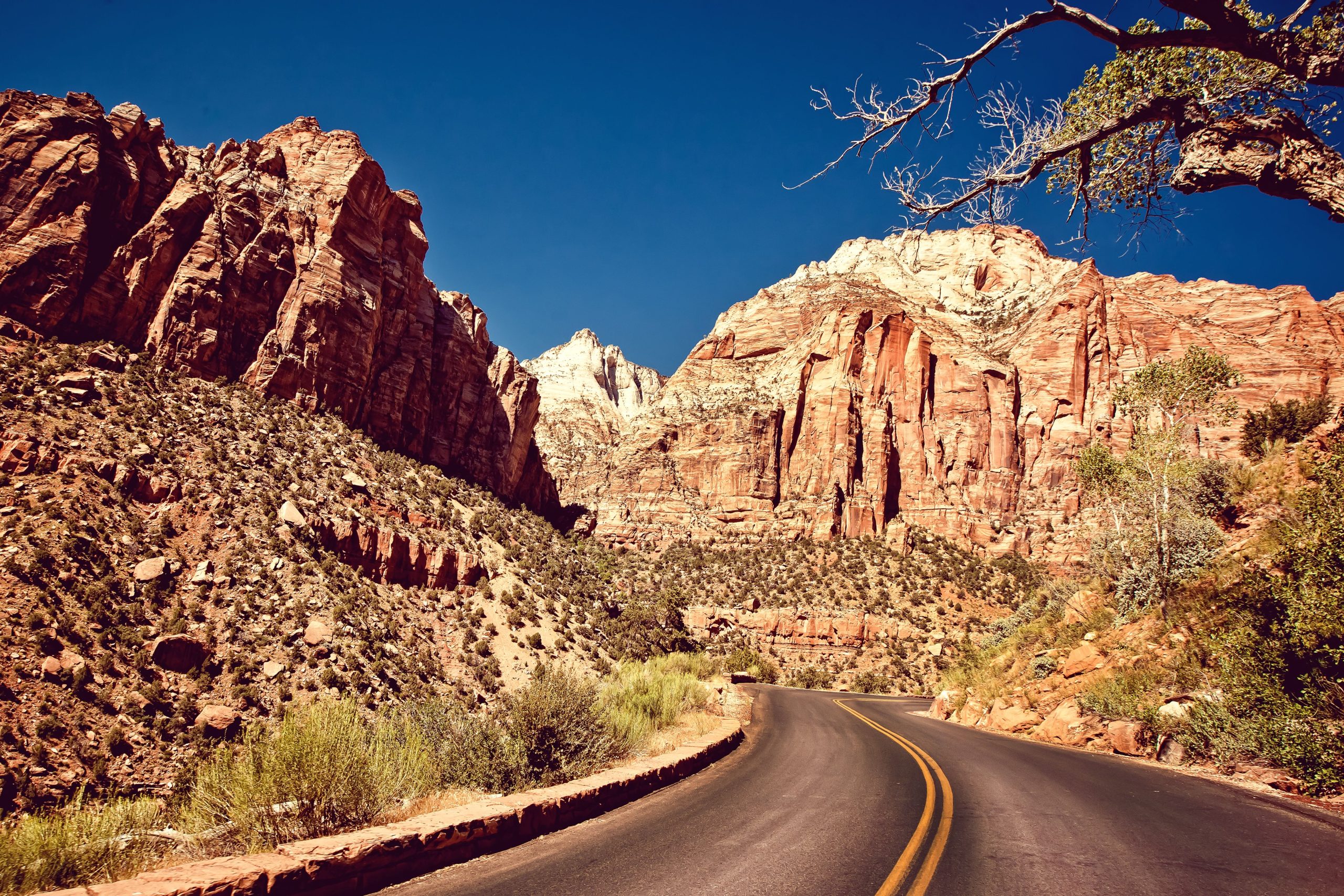 Zion National Parkは、大規模な岩の後に訪問者に景色のあるドライブを再開します