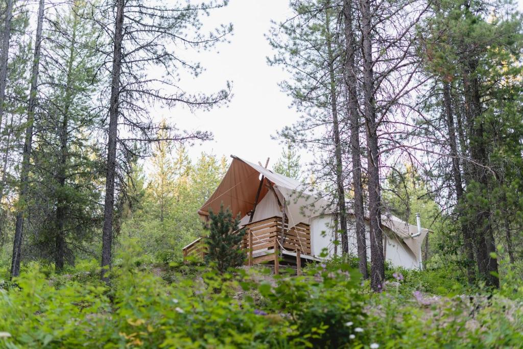 米国のキャンバスの場所の下の14をすべて見てください