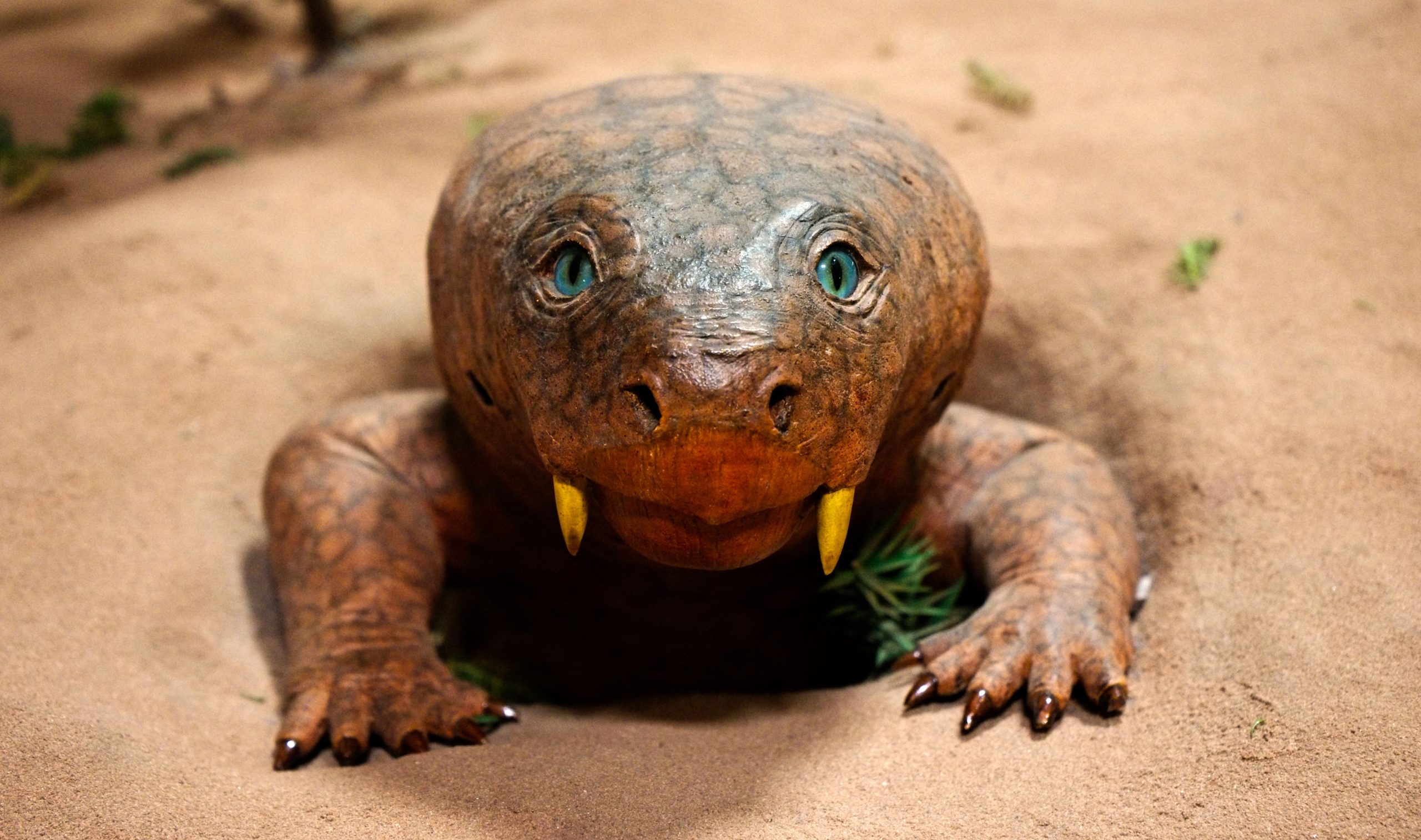 古代の落書きは、2億8,000万年前の長い生き物とのつながりの可能性を明らかにしています