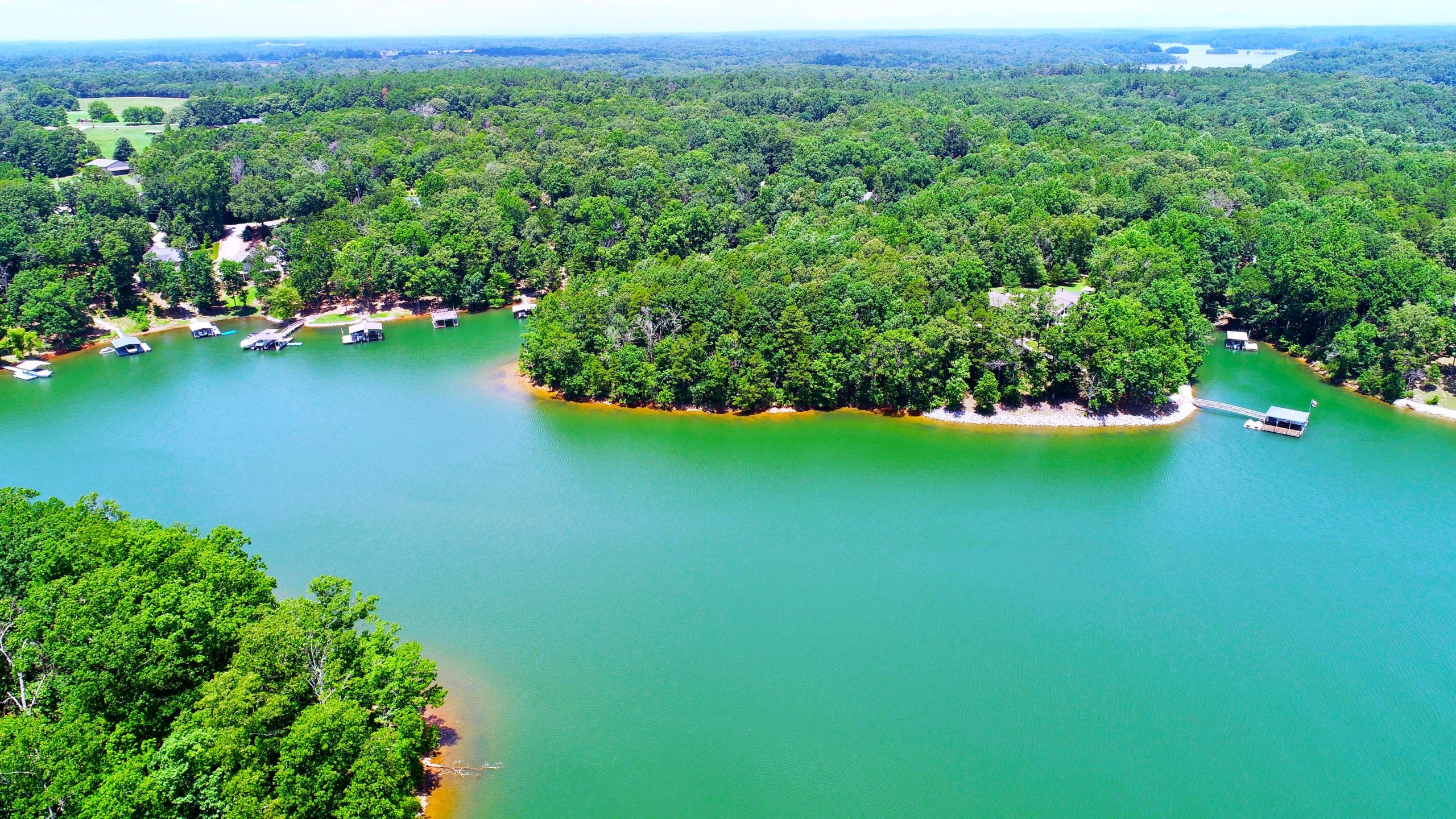 アメリカで最もヘビが感染している湖の1つは、南東で最も人気のある湖の1つです