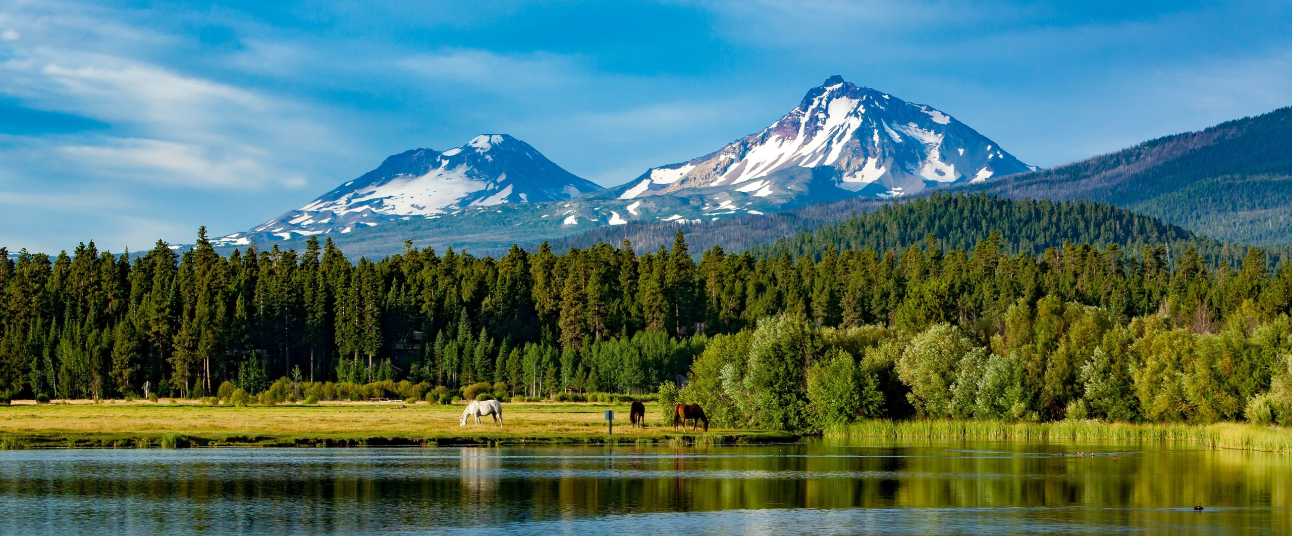 これはオレゴン州で最もクールな小さな町です