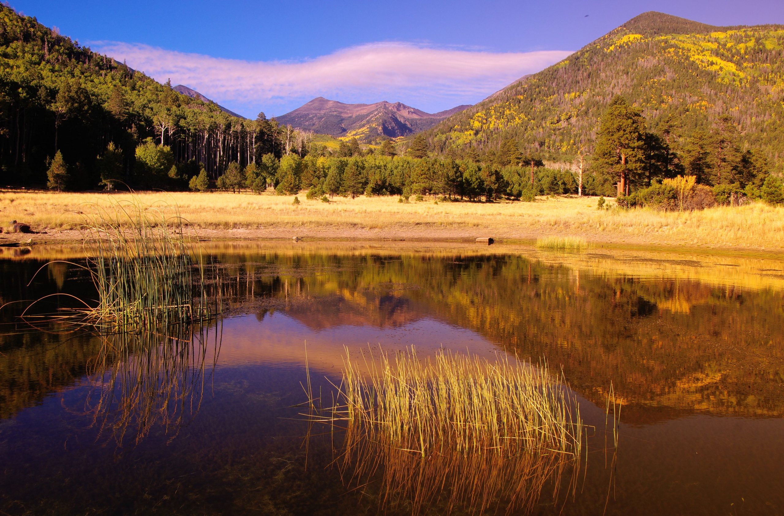 アリゾナでハイキングする最高の山は実際にはキャメルバックではありません