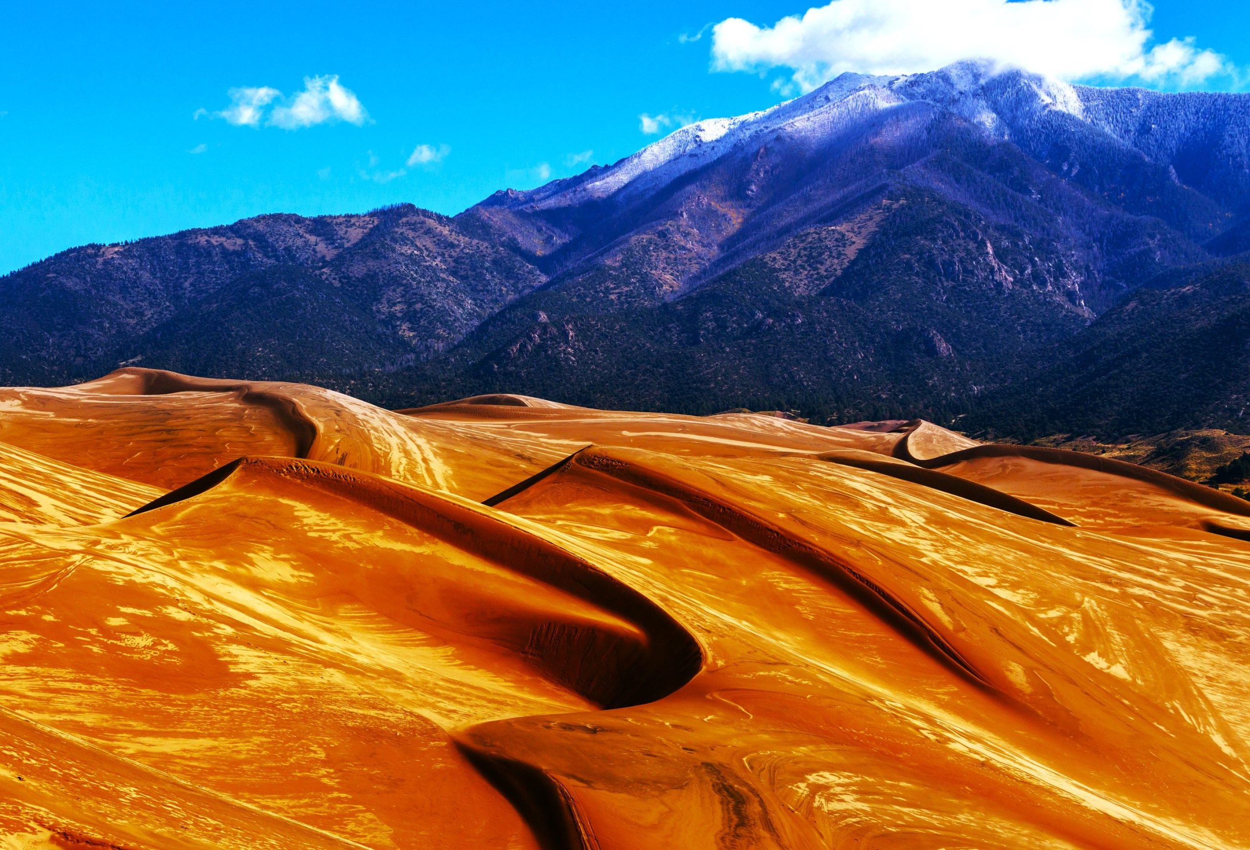 過小評価されていますが、2025年に訪問する価値：コロラドで最も見落とされがちな国立公園