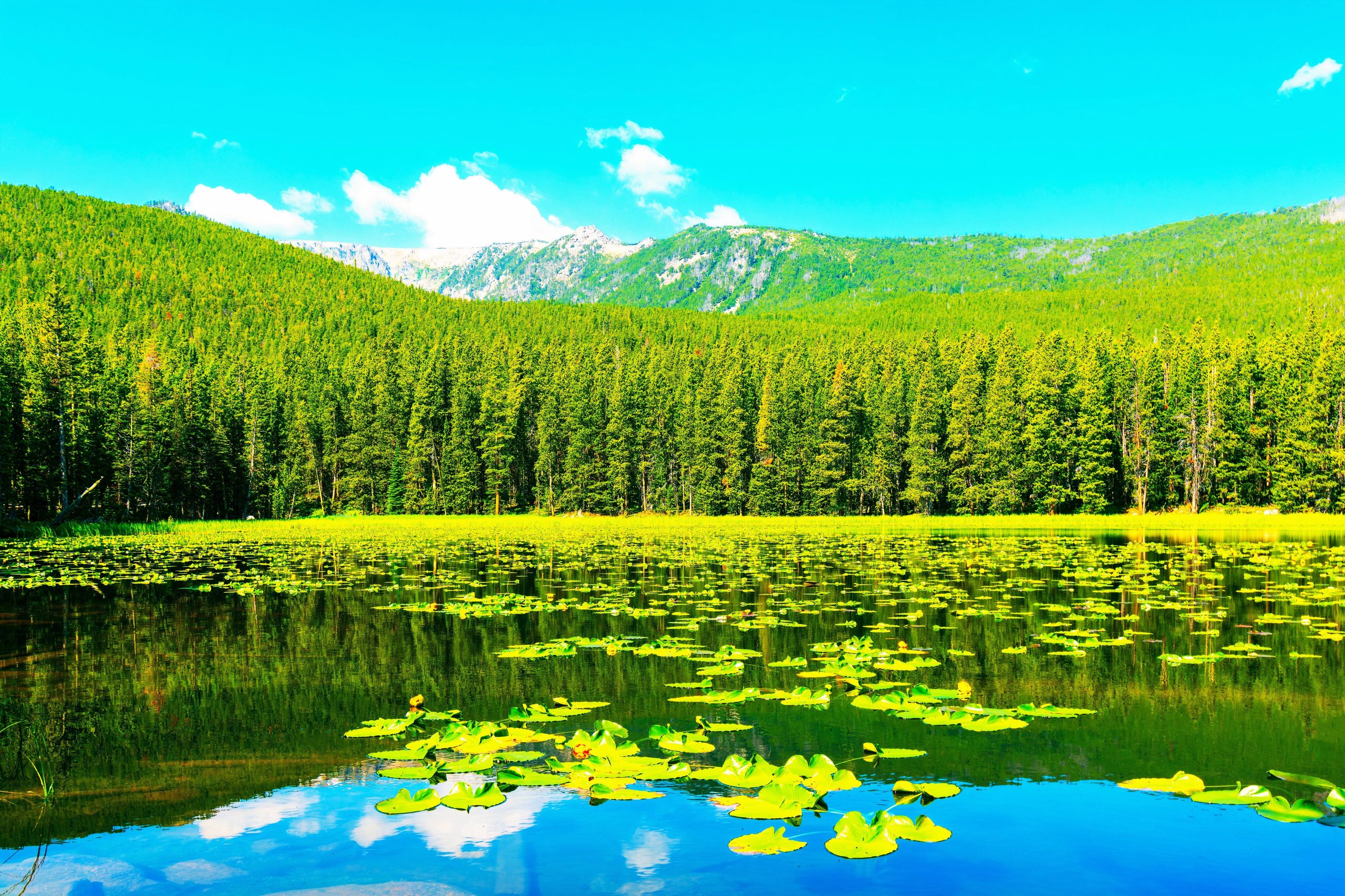 モンタナの最も美しい場所は公式にはこの過小評価されている遠隔の不思議の国です