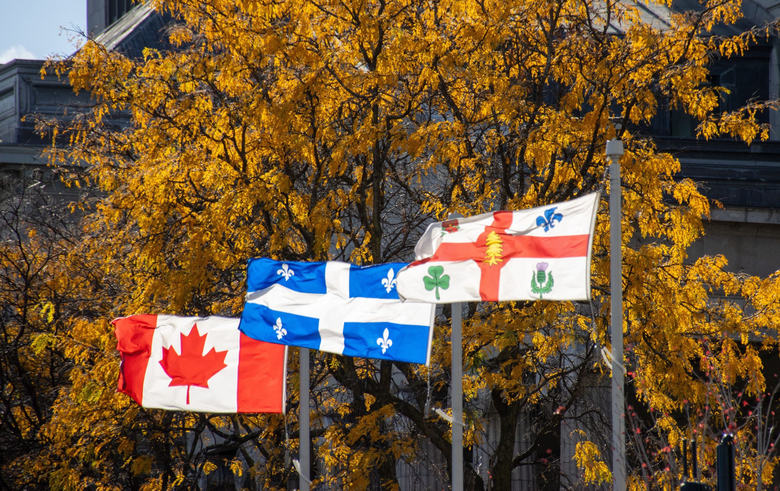 アメリカ人はカナダをボイコットしていますが、ほとんど何も感じなかった主要な州が1つあります