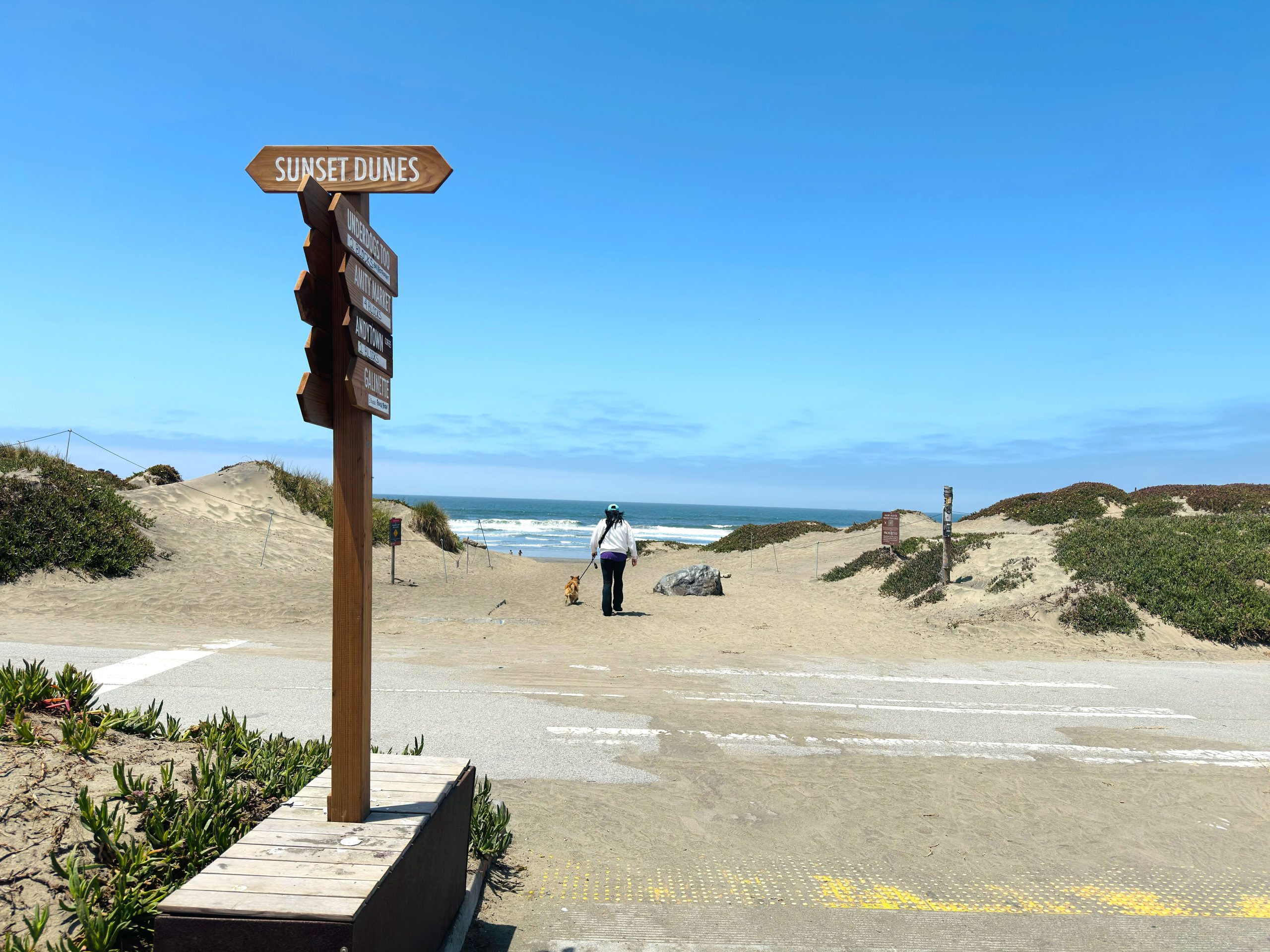 なぜサンフランシスコの最新の公園には地元の人々が激怒しています