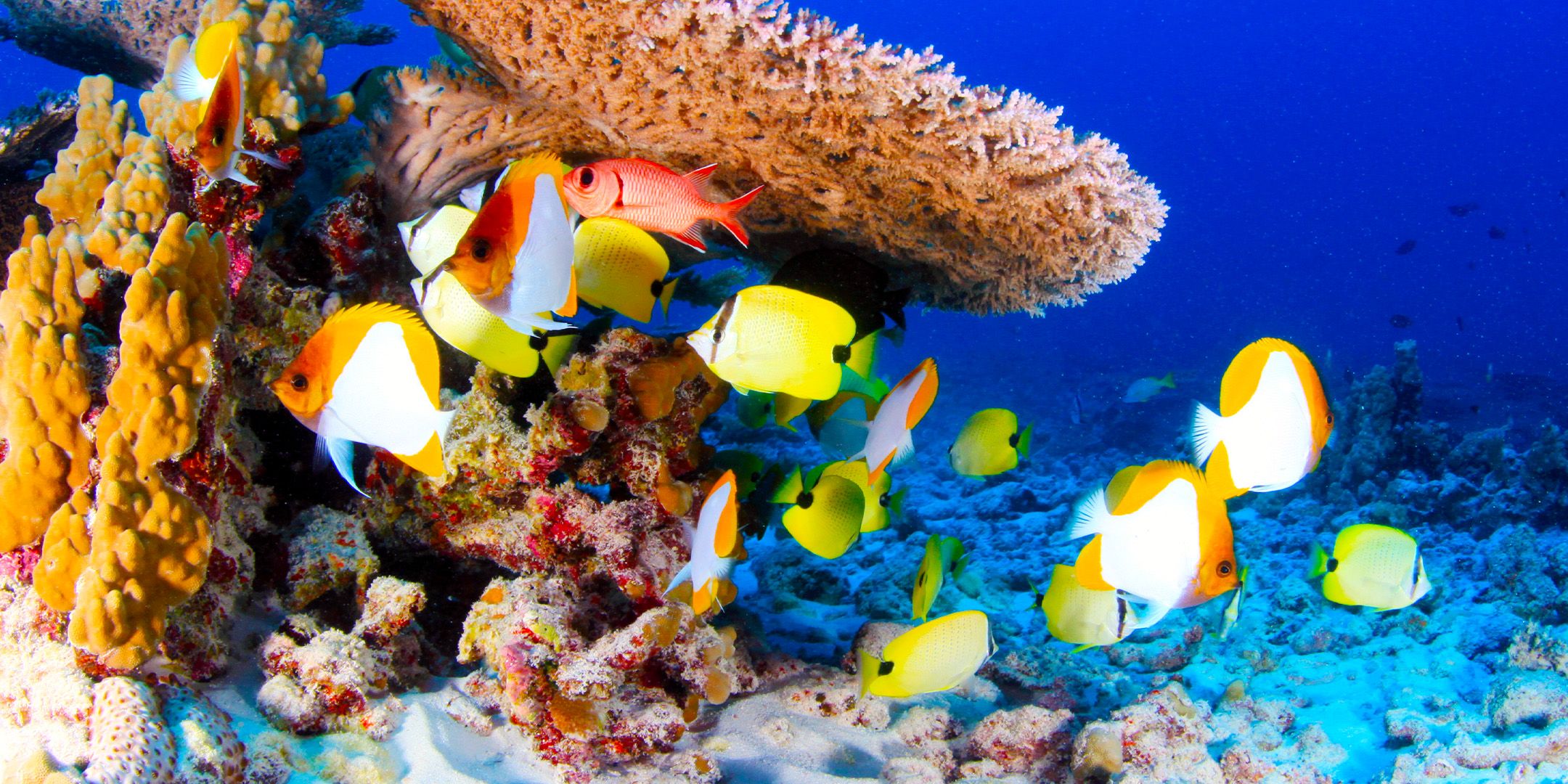 アメリカ最大の国立公園の敷地も訪問することは不可能です