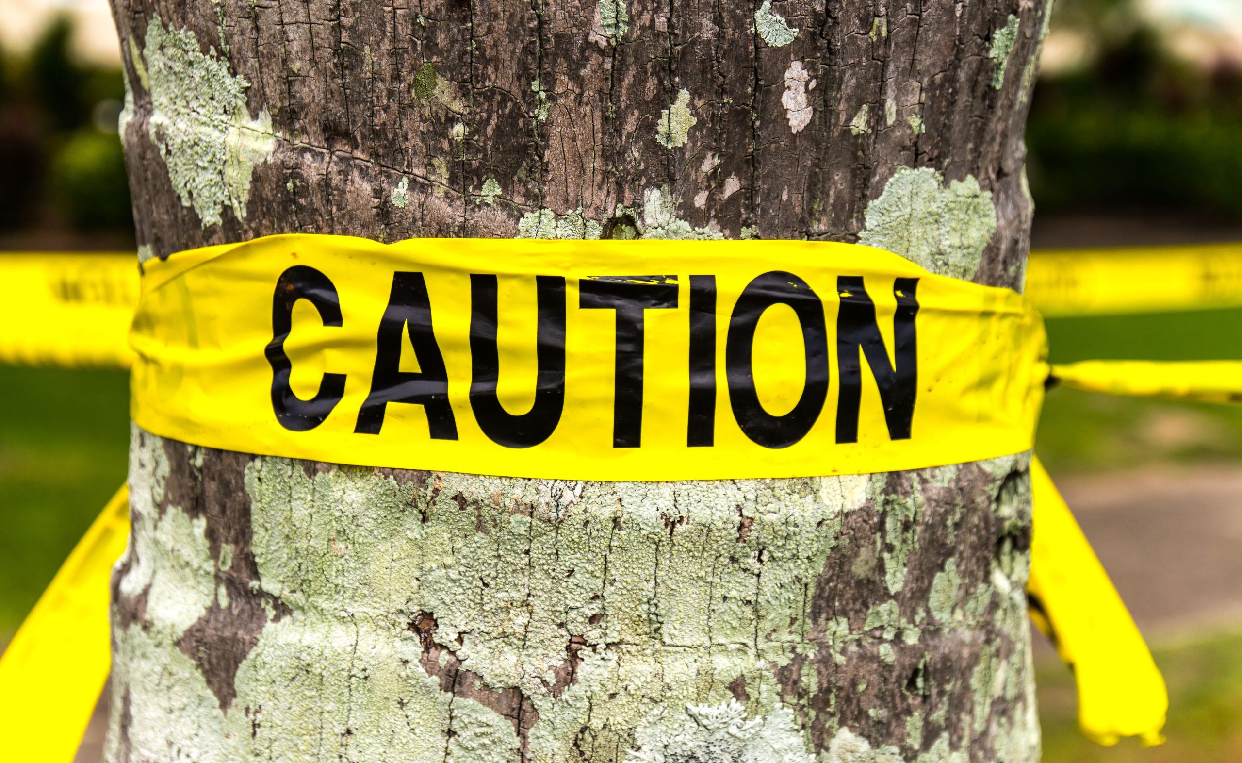 「できるだけ早く逃げてください」：人気のあるカリフォルニアパークは、珍しい新しい脅威について訪問者の警告を発行します