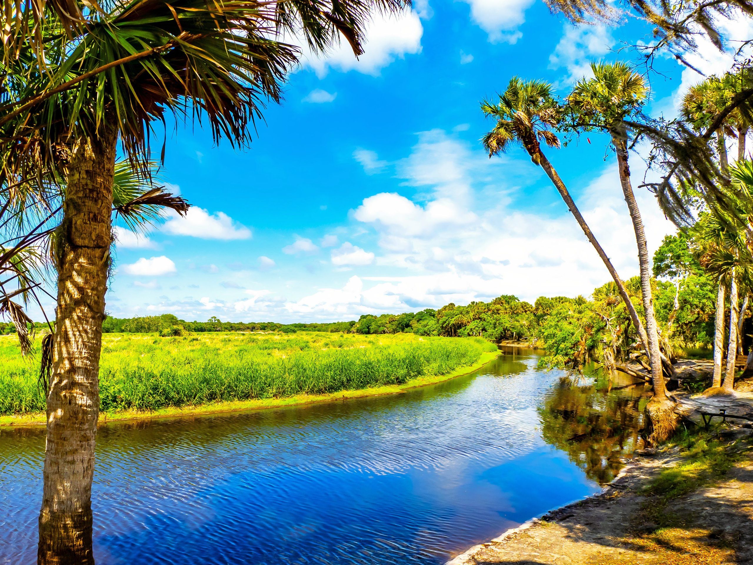 フロリダで最も過小評価されている州立公園は、エバーグレーズ国立公園よりも優れています