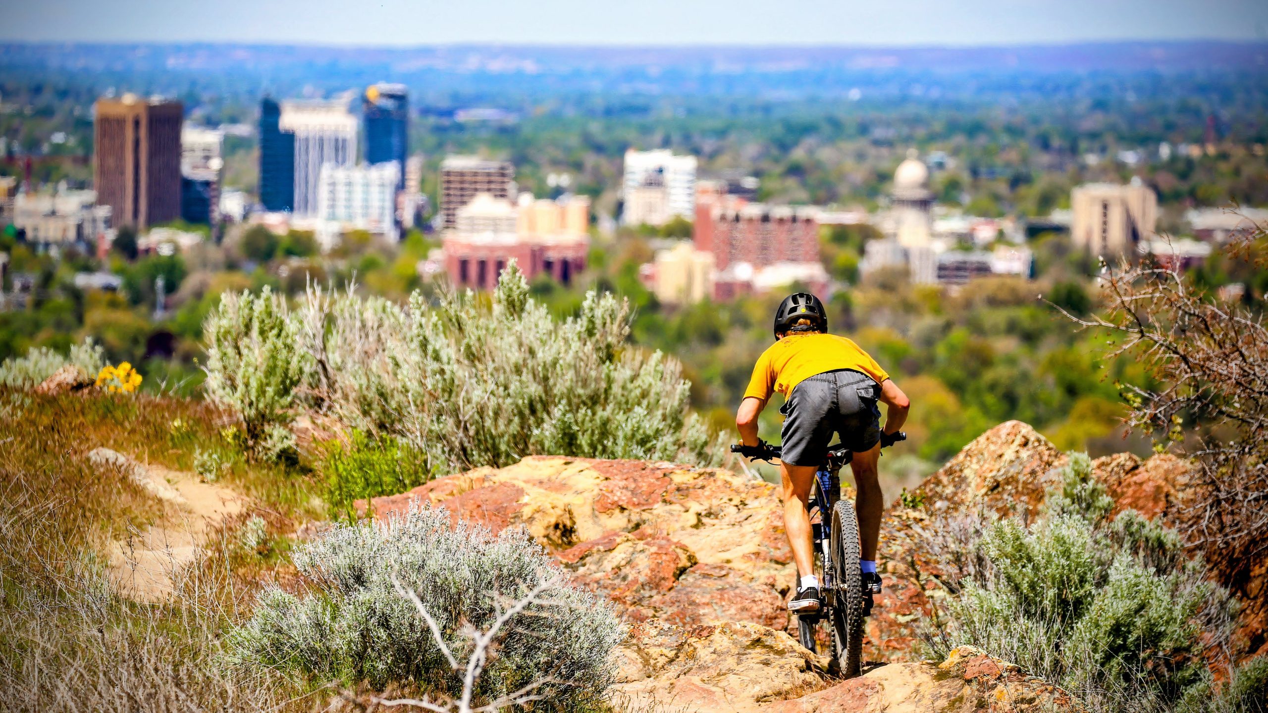 この手頃な価格のデンバーの見た目は、壮大なクラフトビールシーンとアウトドアの雰囲気を持っています