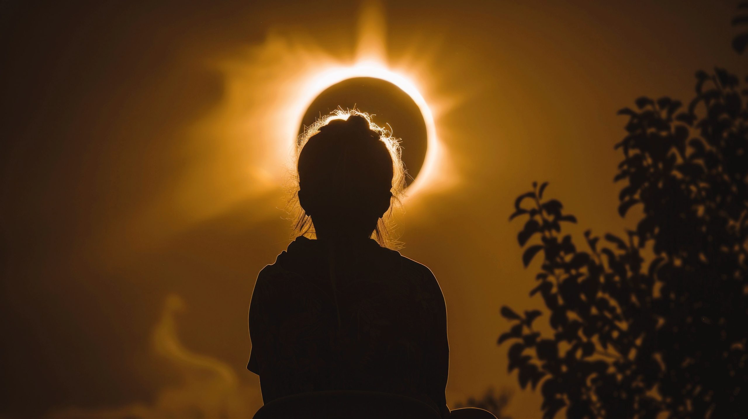 NASAは、今日の「日食」がデマであることを確認しました