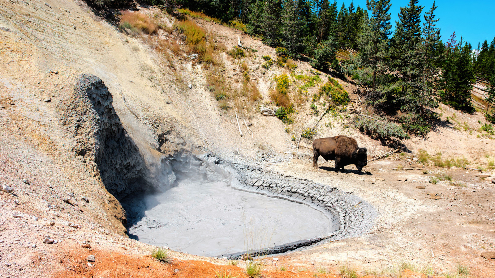 猛烈なイエローストーンの訪問者は、ソーシャルメディアの影響力のために彼の人生を二度目にリスクした後、観光客をNPSに報告します