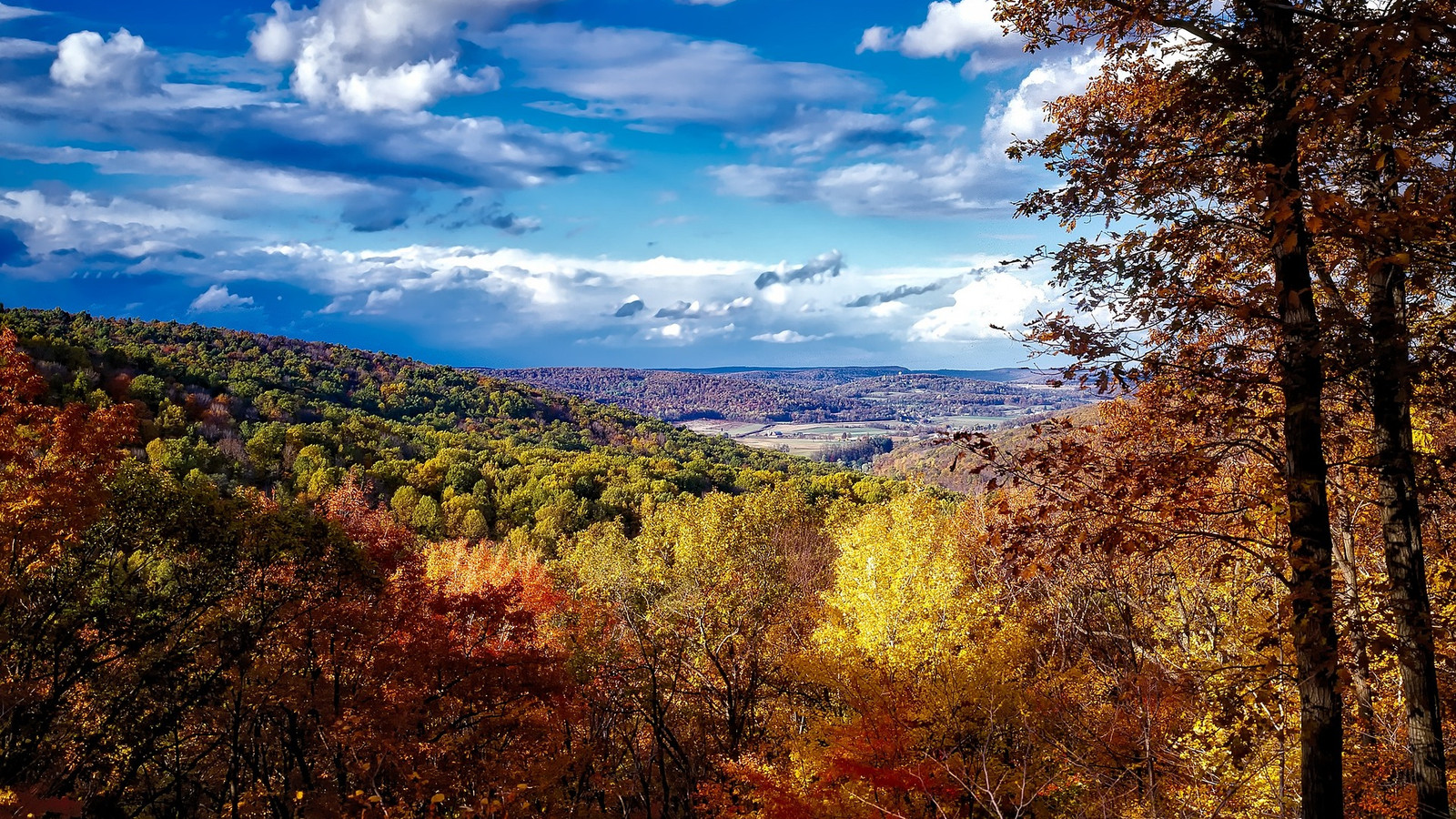 アカディア国立公園の最も美しい秋の代替品は、驚くべき状態では安価な外観です