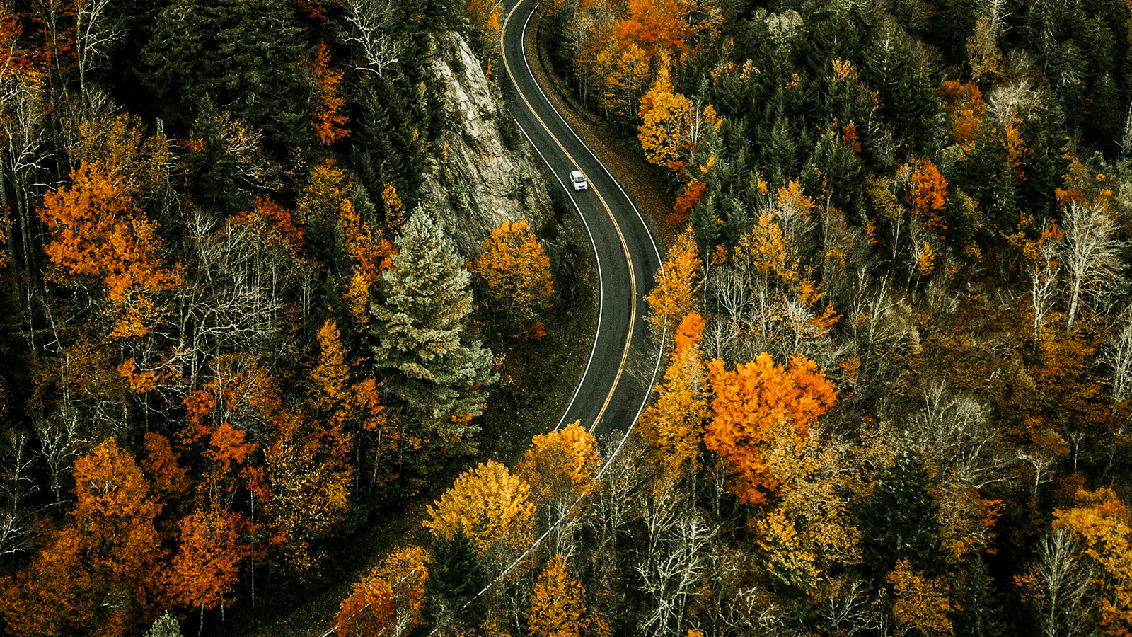アメリカ人は最も人気のある米国国立公園が秋の葉の季節に間に合うように禁止されたエリアを再開するので喜んでいます