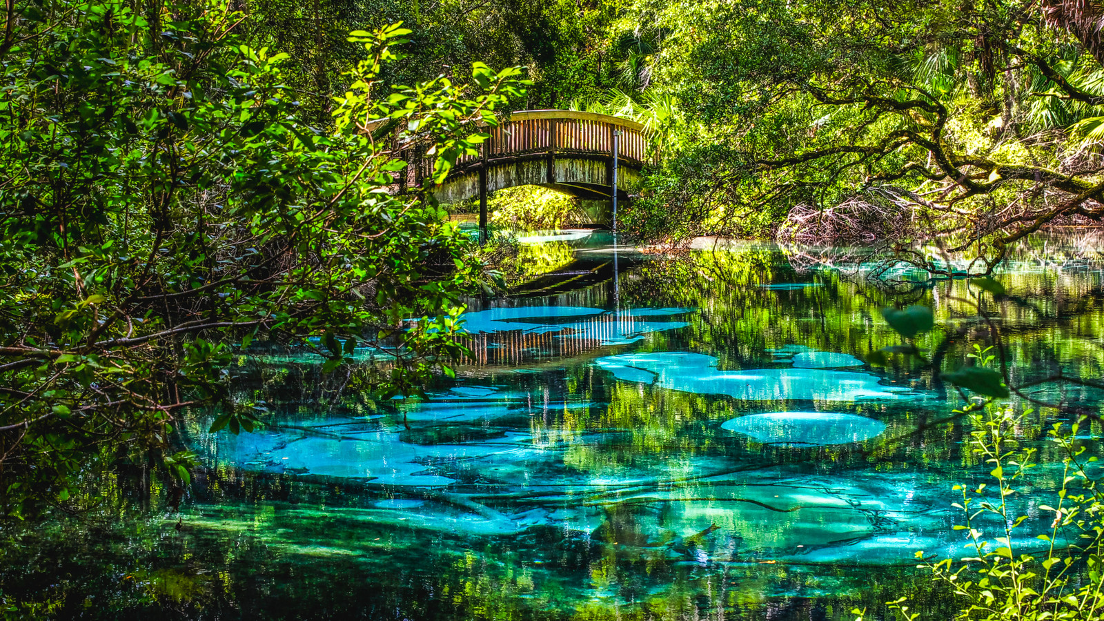 「災害のレシピ」：フロリダは明らかな理由で新しい国立公園を望んでいません