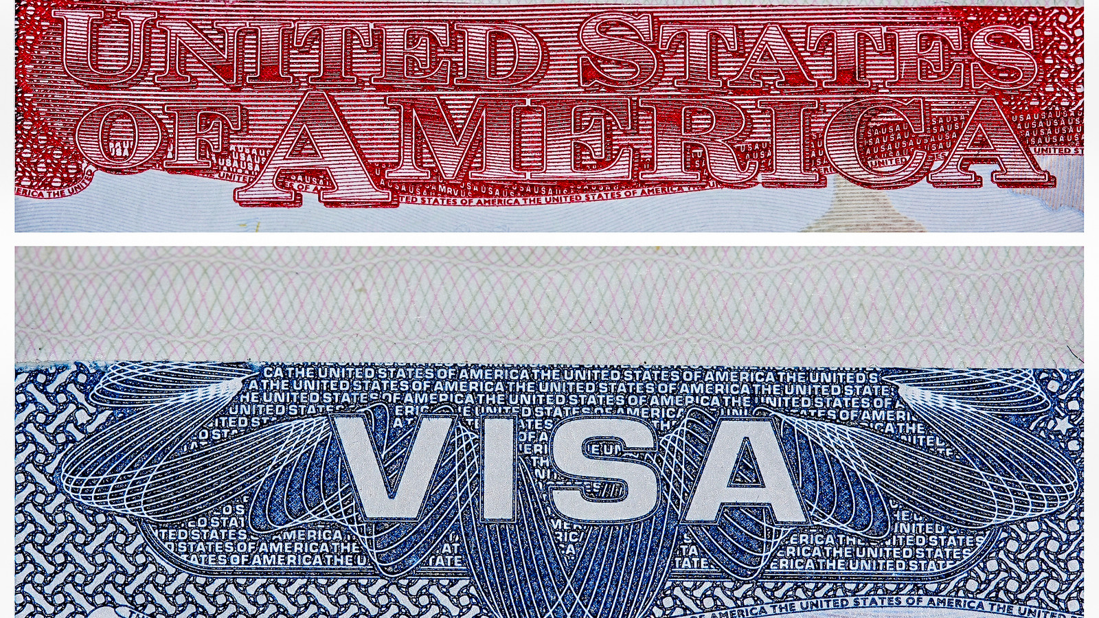 5500万人のビザ保有者に対する米国政府の精査には、観光ビザを持つ旅行者が含まれます