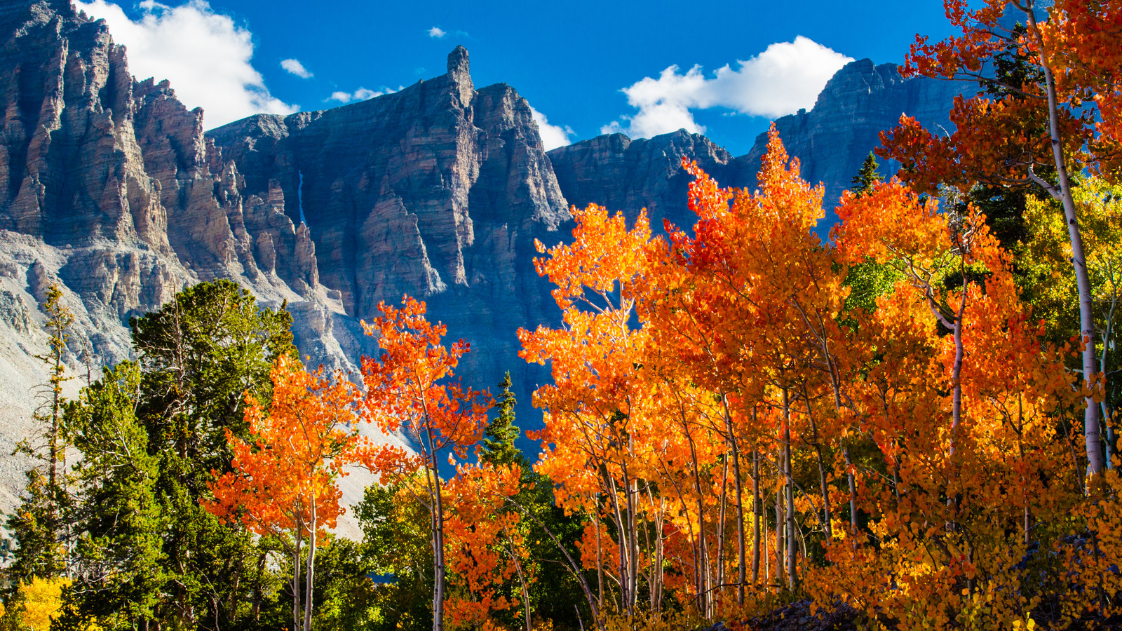 誰もがヨセミテについて話しますが、偉大な盆地は過小評価されている宝石かもしれません