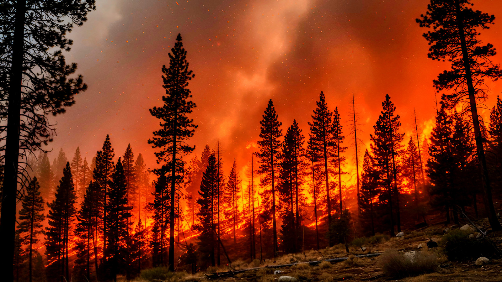 「再び」：さらに別の米国国立公園が稲妻の攻撃のために燃え上がっています