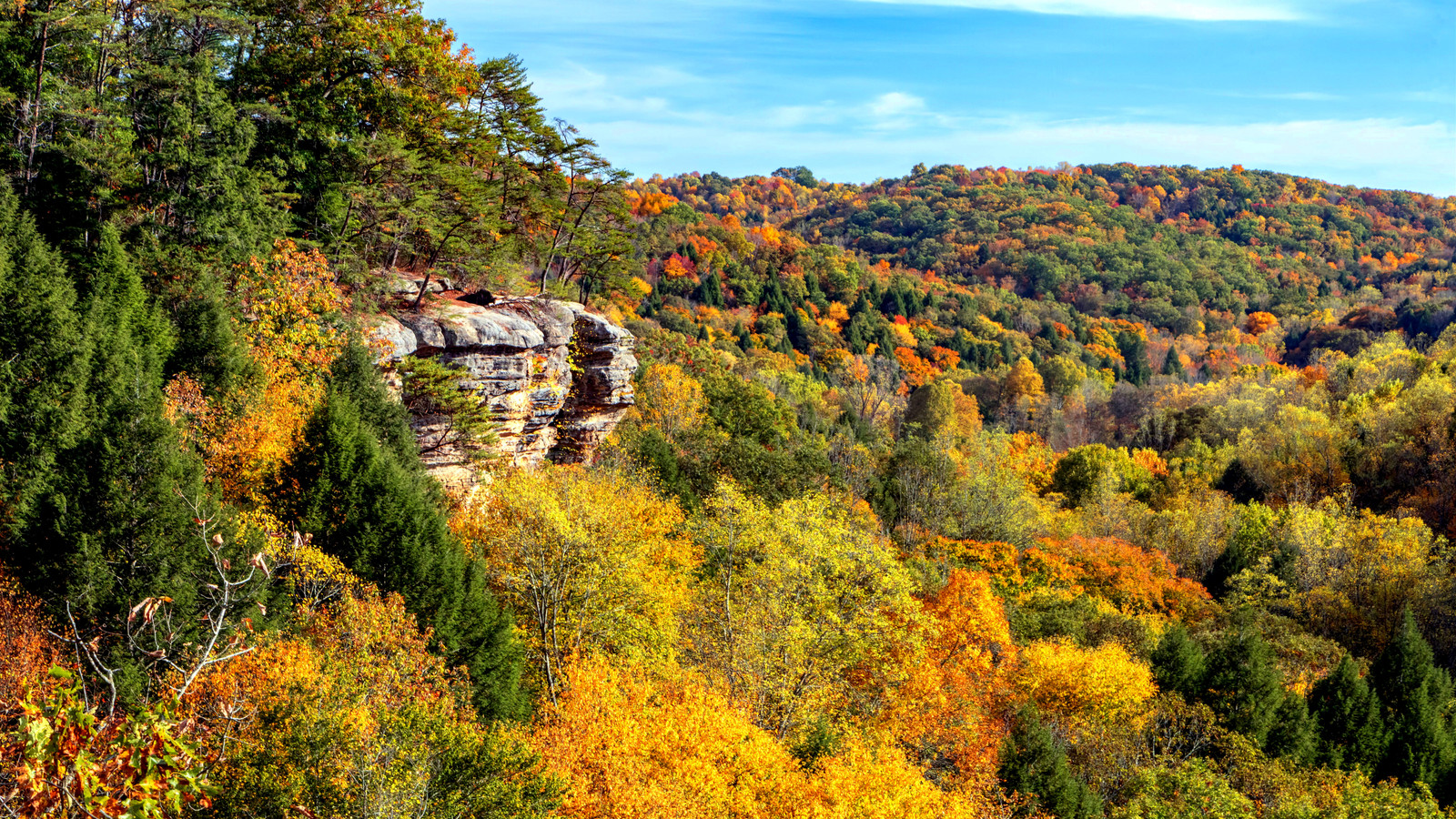 この米国はちょうど新しいアパラチアの自然保護区を手に入れました