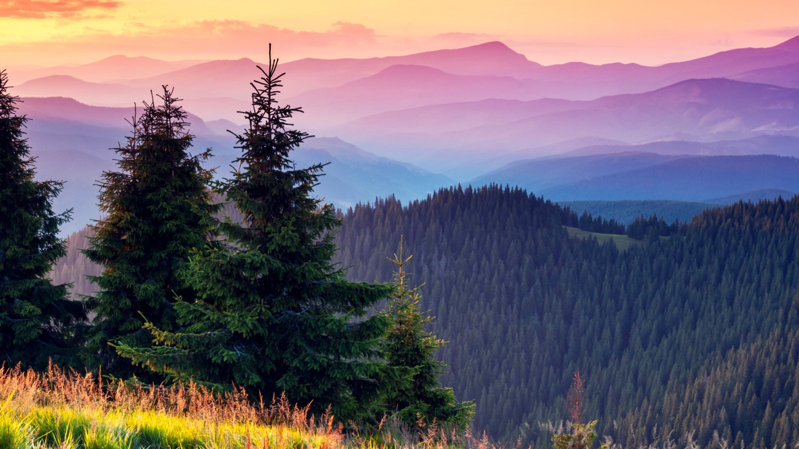 アメリカで最も人気のある国立公園を訪れた後、150人が家に帰ることはありませんでした