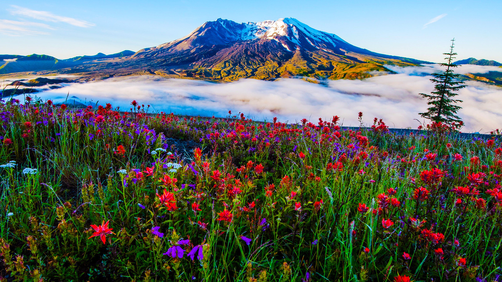 セントヘレンズ山を覚えていますか？なぜそれが地図から落ちたのか、そしてなぜ戻る時が来たのか