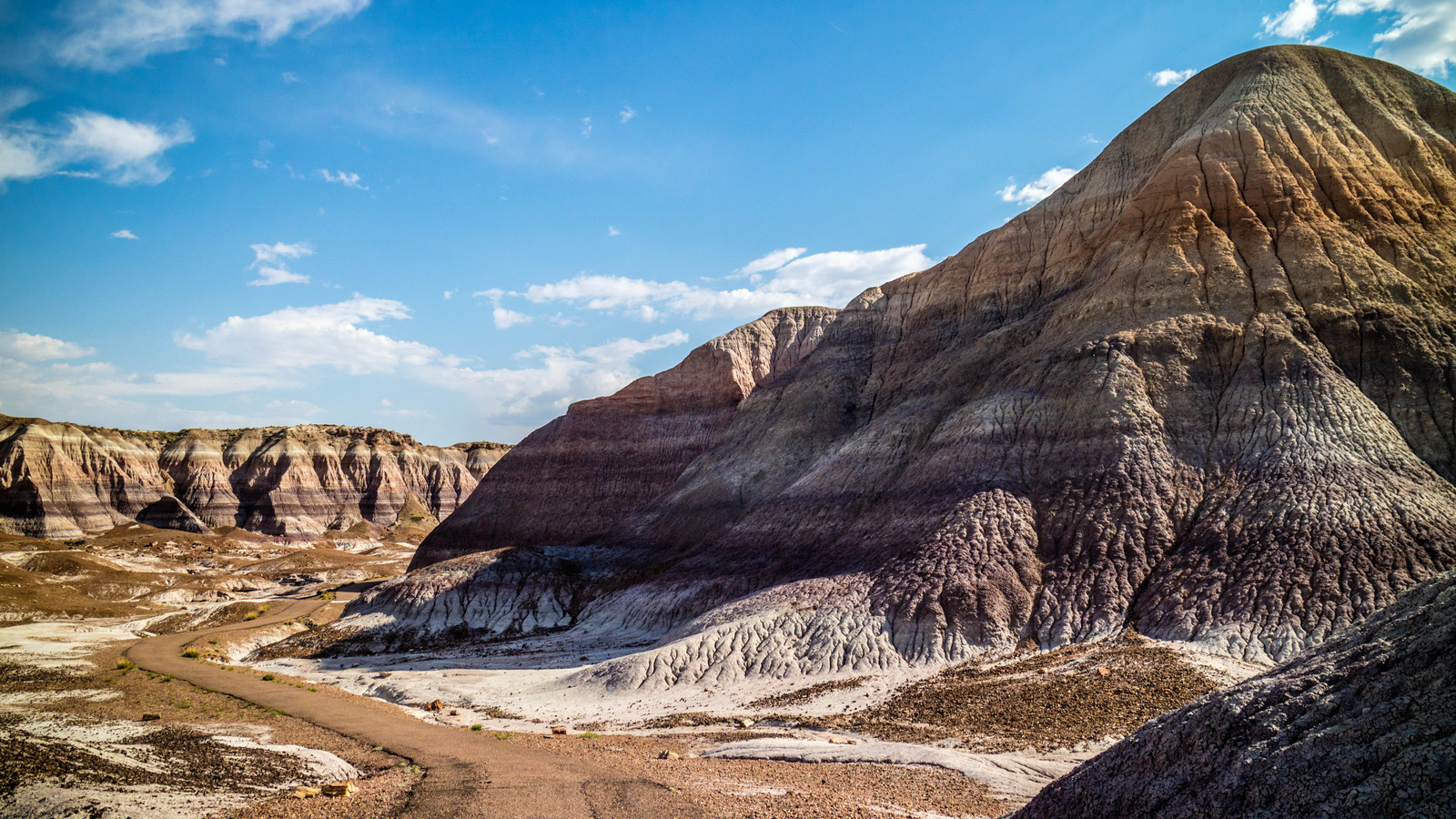 小さなスパイクされた爬虫類化石ショック科学者：古代アリゾナについて何を明らかにしましたか？