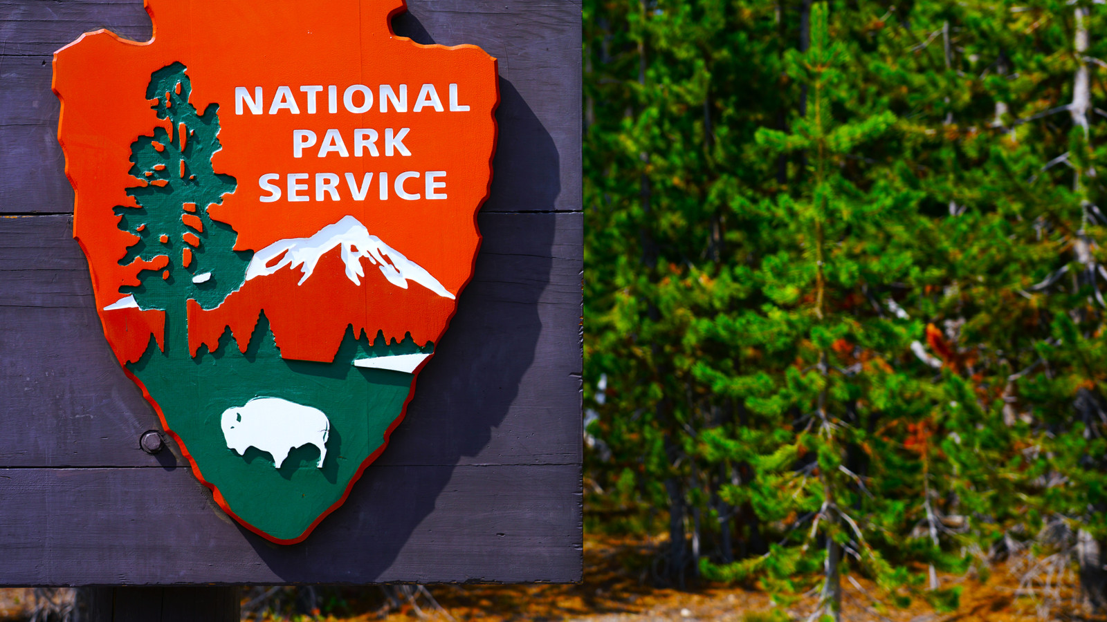 米国政府は、税関と国境役員を国立公園のサイトに展開したことを批判しました