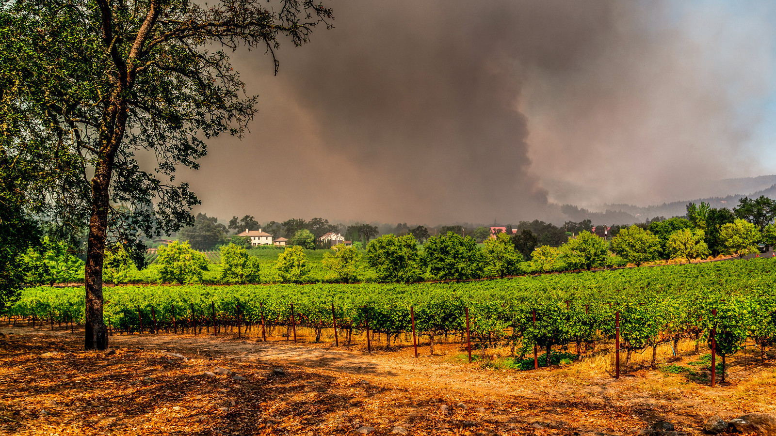 旅行者と地元の人々は、炎が続くためにカリフォルニアで最も風光明媚な観光地を避難させます