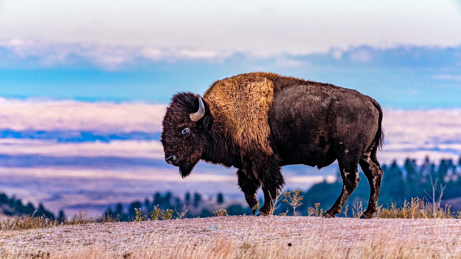 このあまり知られていないサウスダコタ国立公園は、壮大な風景、壮大な夕日などでバッドランズに匹敵します