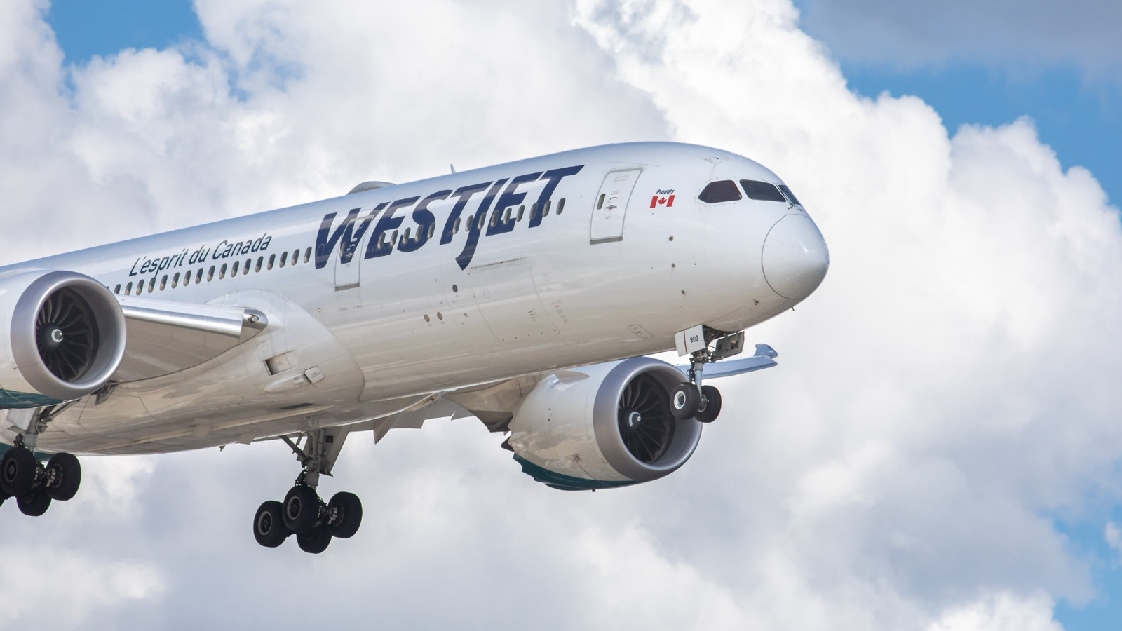 Westjetの「不明確な注文」が最終的に明らかになりました：航空会社はカナダで最大の注文を行います
