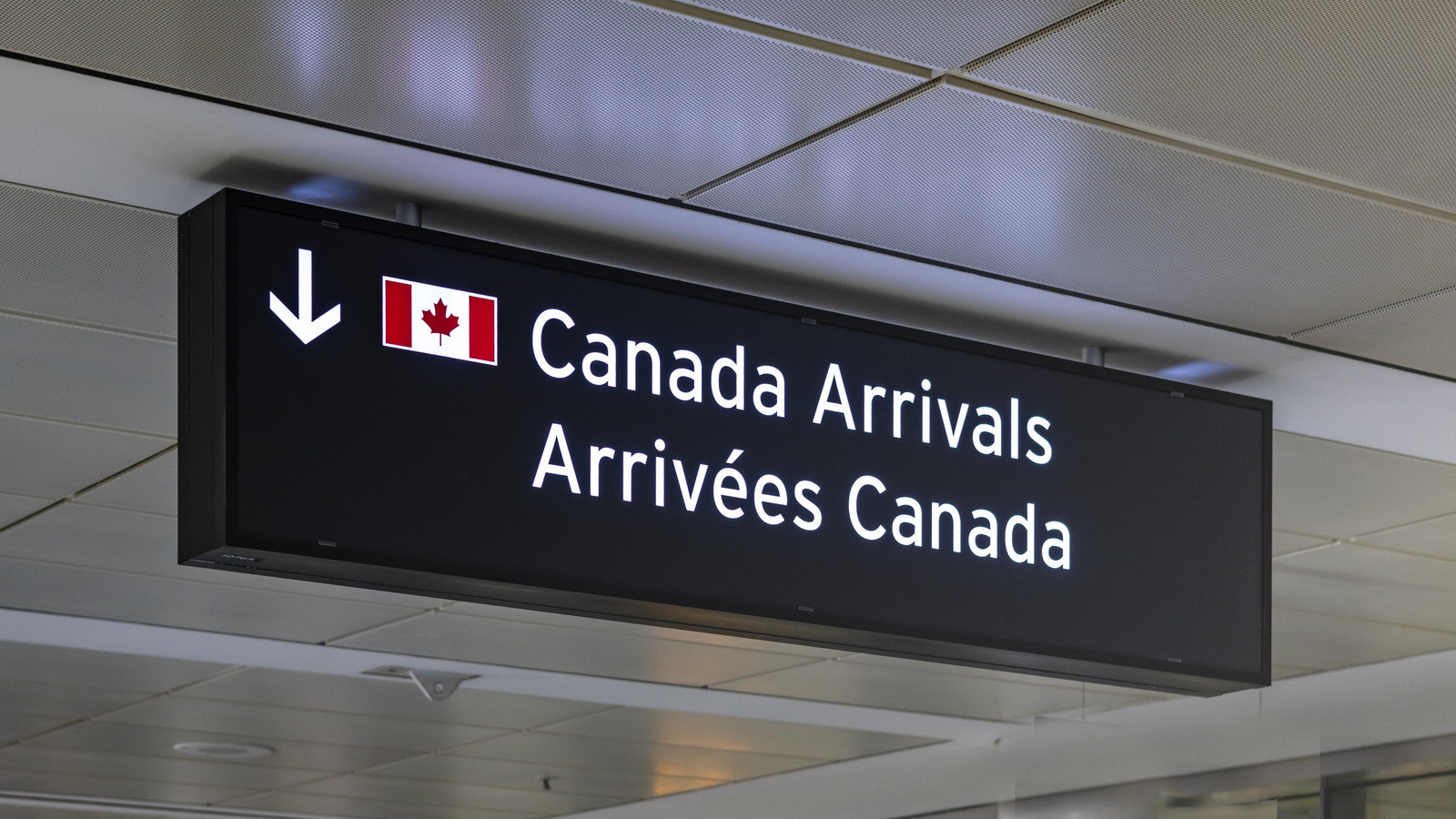 新しいAI国境スクリーニング技術がすでにバイアスの兆候を示しているので、カナダ人はイライラしました