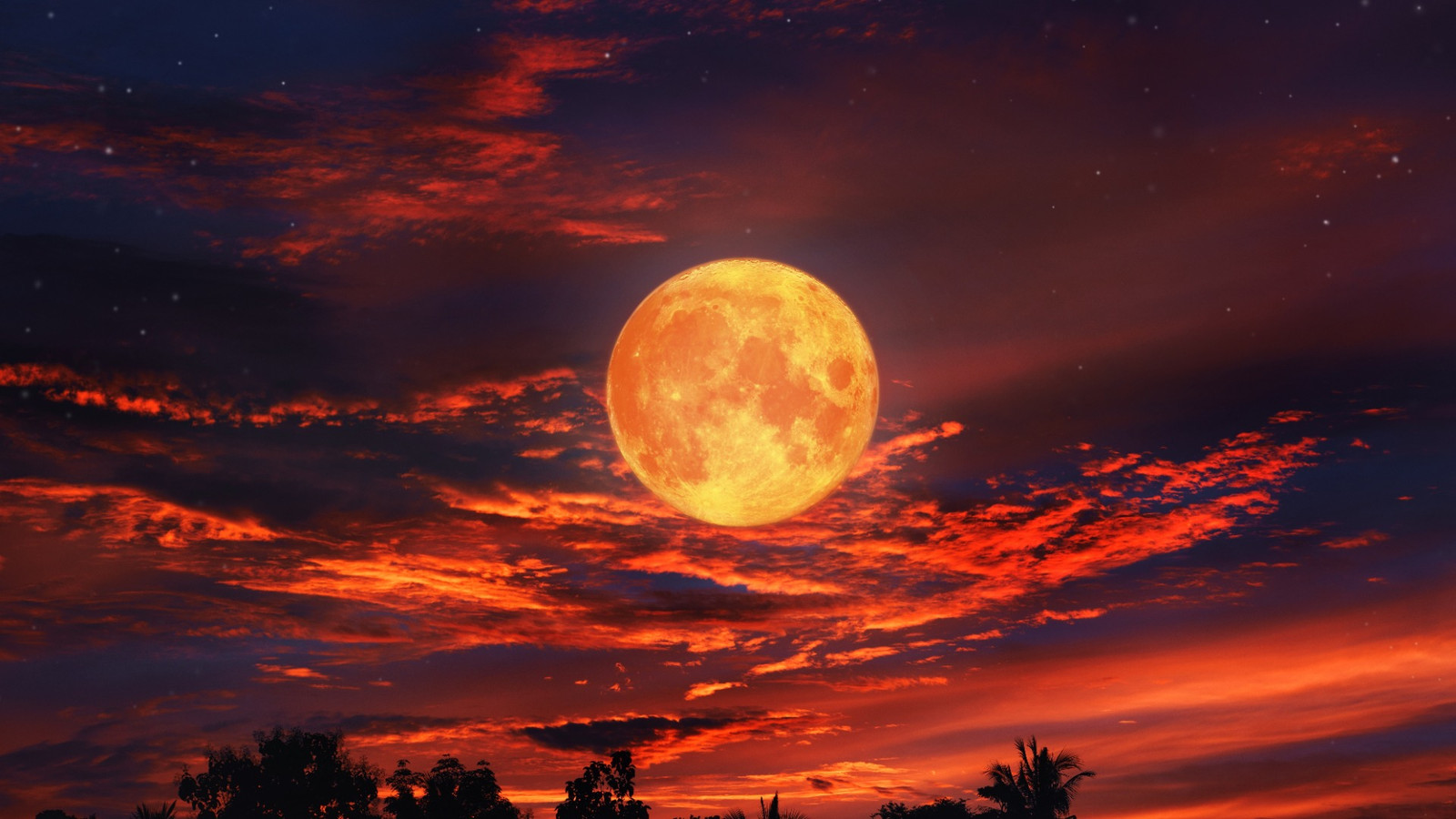 Blood Moon Total Lunar Eclipseの映像は、それが待つ価値があることを証明しています：見物人は言葉を失います