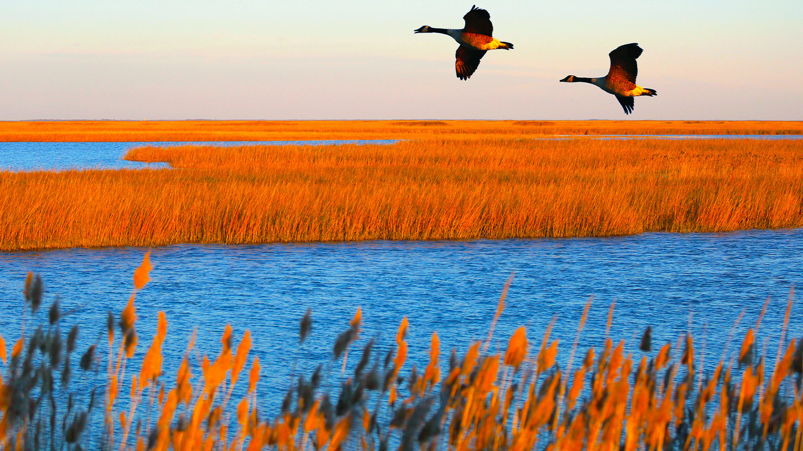 この秘密の国立公園のサイトは、公式にはアメリカで最も美しい場所の1つです