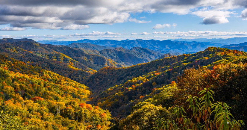 グレート・スモーキー山脈国立公園は週8万ドルで開園を続けるが、サービスは限定的でレンジャーは懐疑的