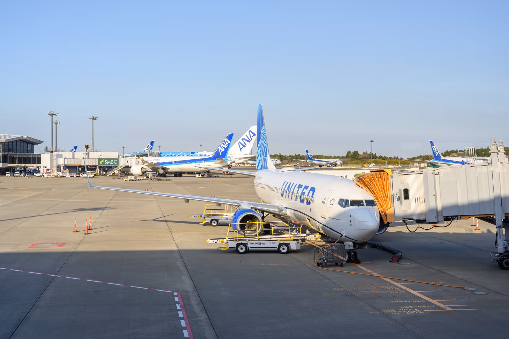 デルタ vs.ユナイテッド vs.サウスウエスト航空: バッグを紛失する可能性が最も高い航空会社はどこですか