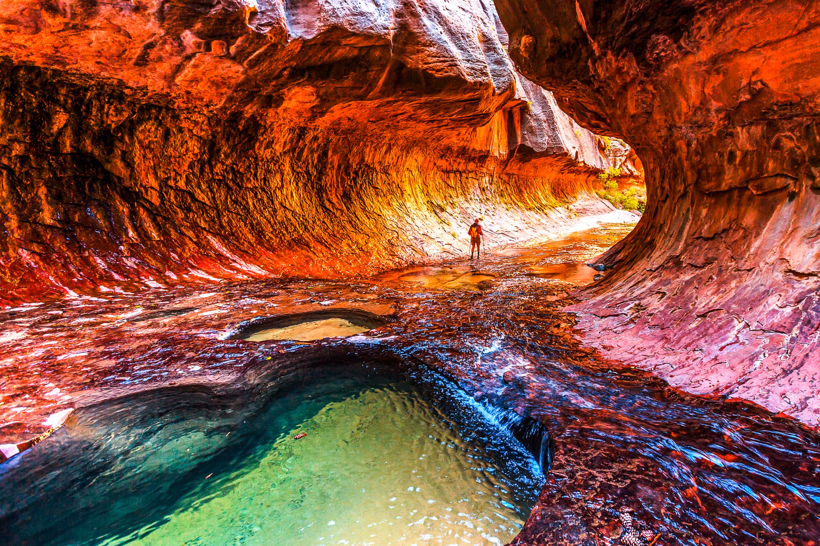 ザイオン国立公園が政府機関閉鎖後の回復を支援する特別イベントで他を圧倒