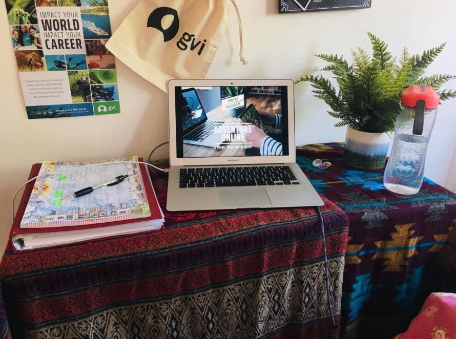 仮想学習留学プログラムで何を探すべきか