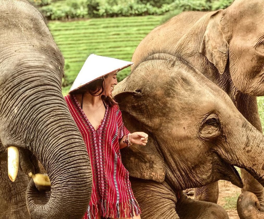 象とボランティアをする前に知っておくべきこと