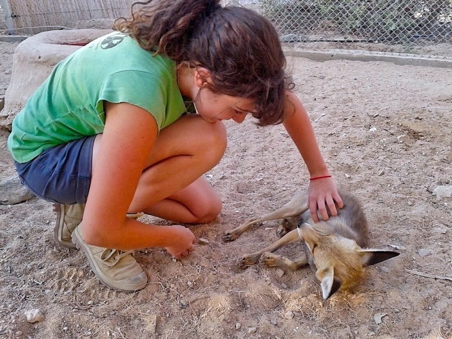 海外で短期ボランティアとして最大の影響を与える方法