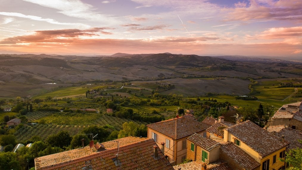 Top 5 des pays à WWOOF sur un vignoble