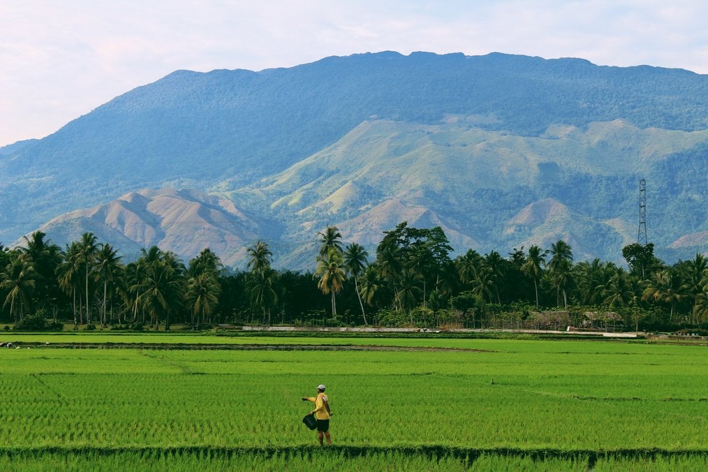 Que savoir sur le wwoofing dans le monde