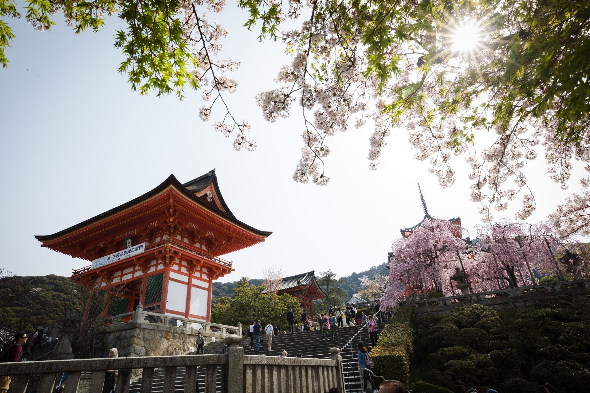 12 meilleurs endroits à visiter au printemps
