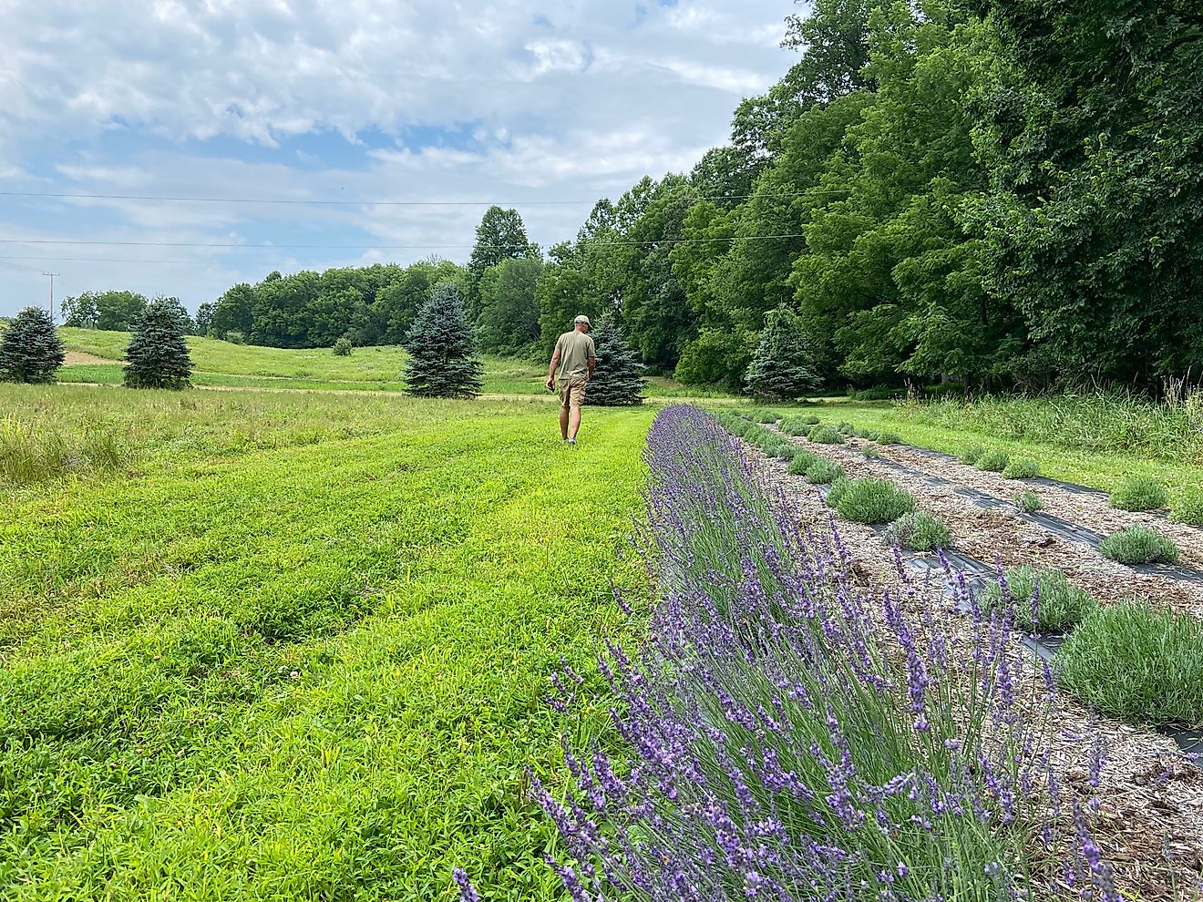 Les 8 meilleures villes de retraite des Poconos sont classées