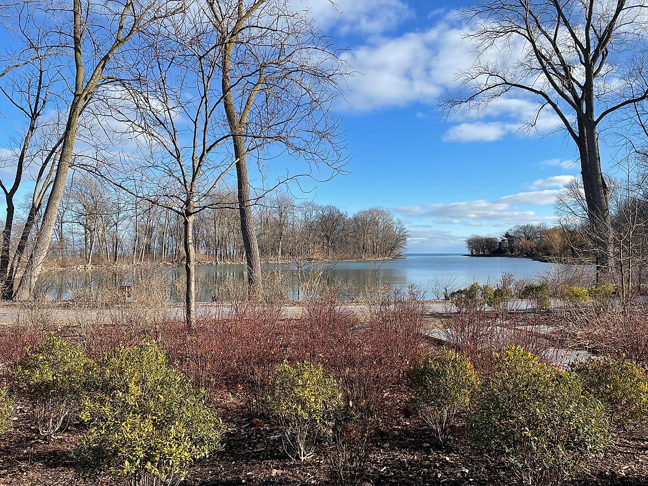 Les lacs les plus infestés de serpents du Michigan