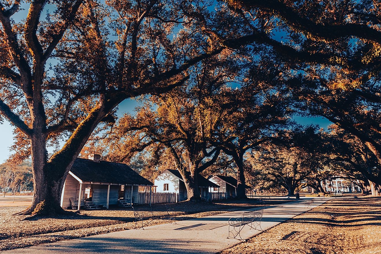 13 meilleurs endroits à visiter en Louisiane cet automne